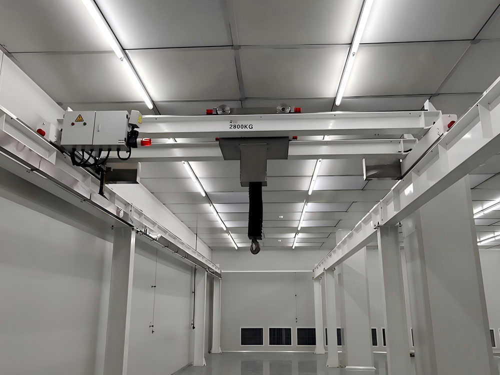 LH type clean electric double-beam crane